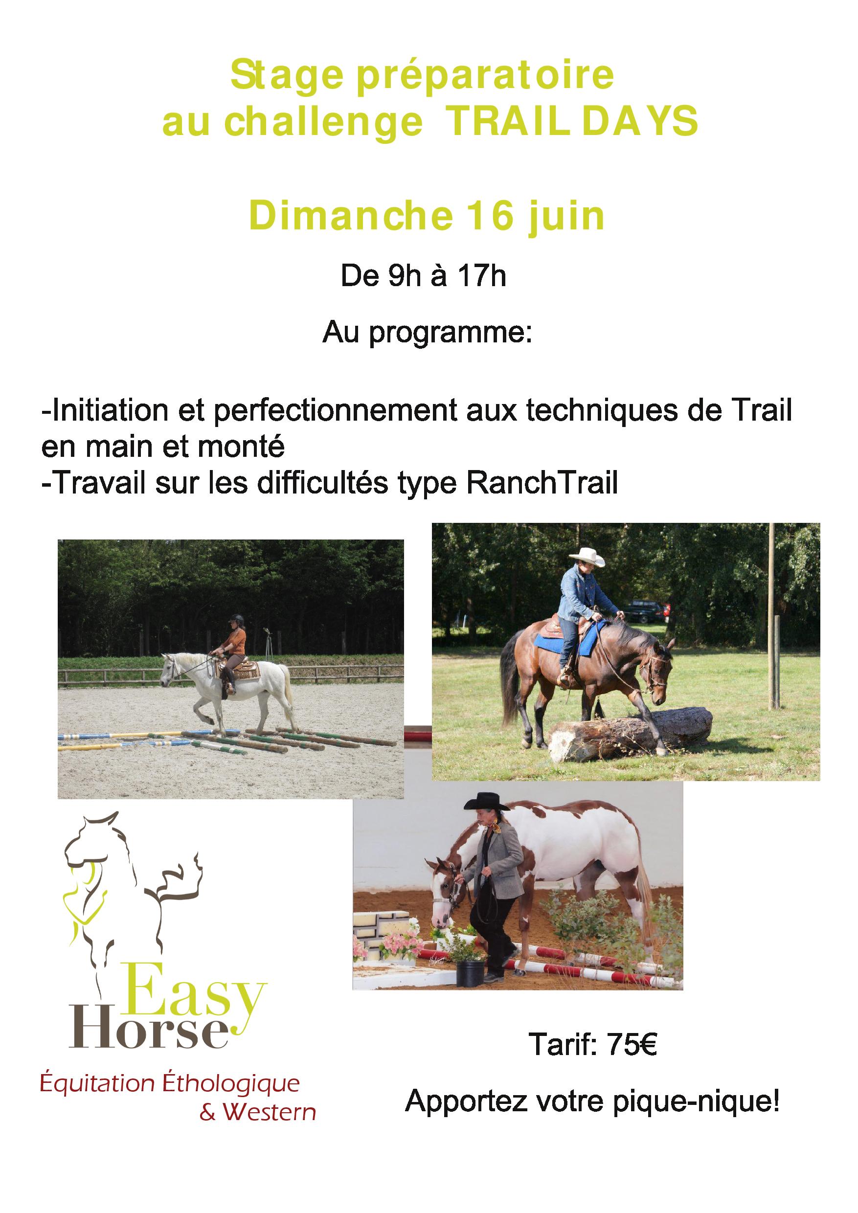 Stages western et/ou ethologique, Easy horse