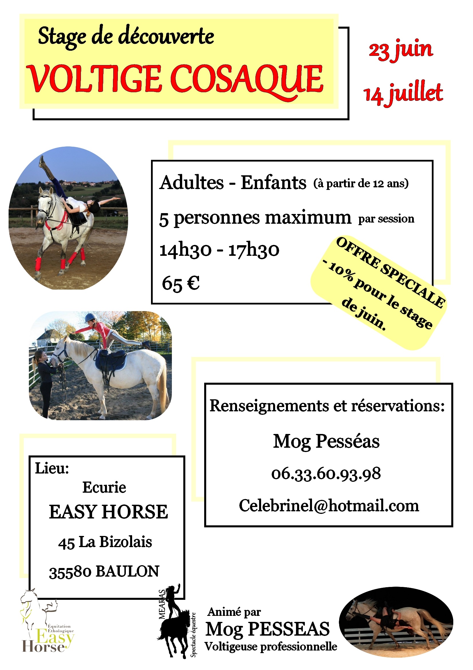 Stages western et/ou ethologique, Easy horse