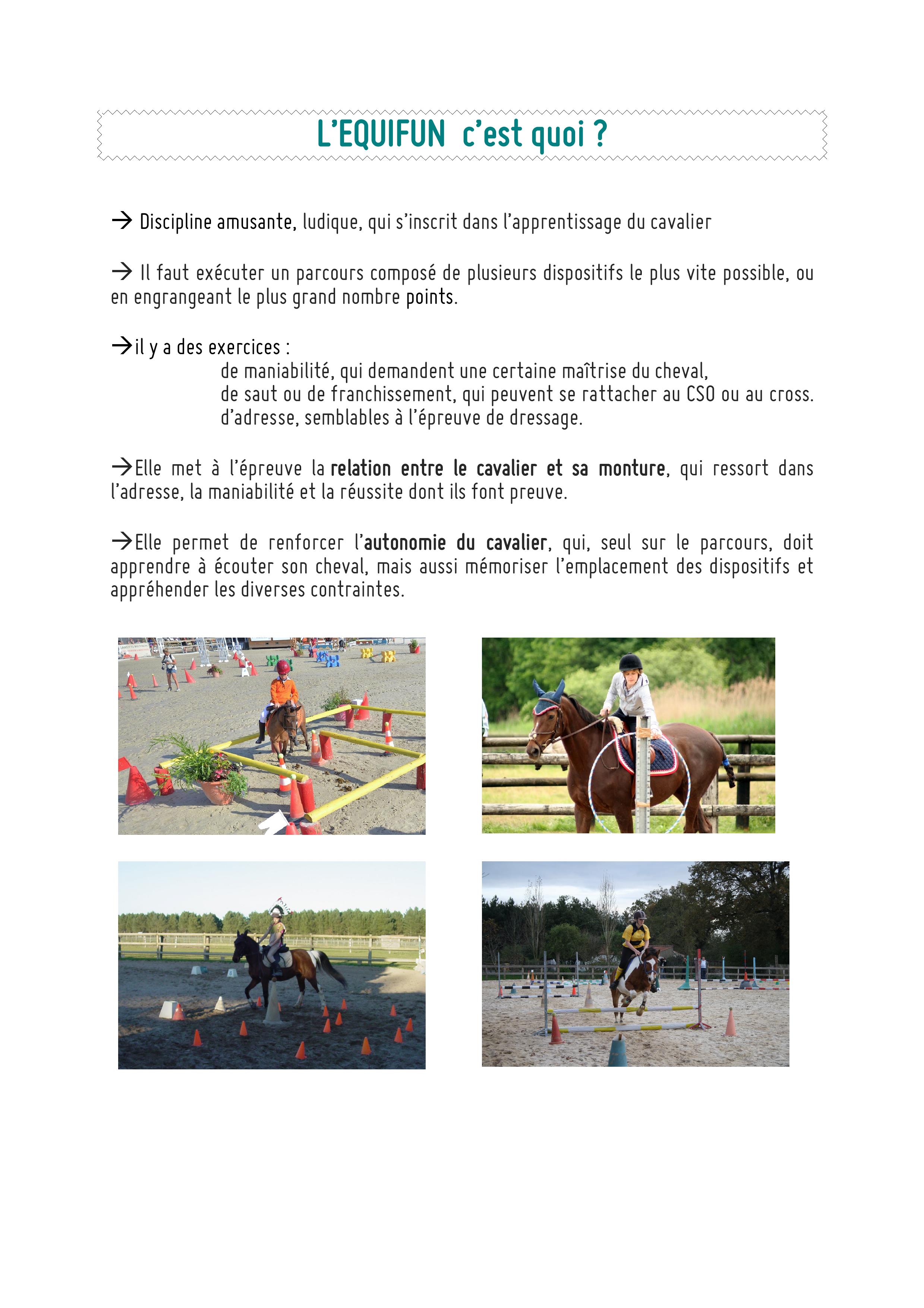 information equifun, Easy horse