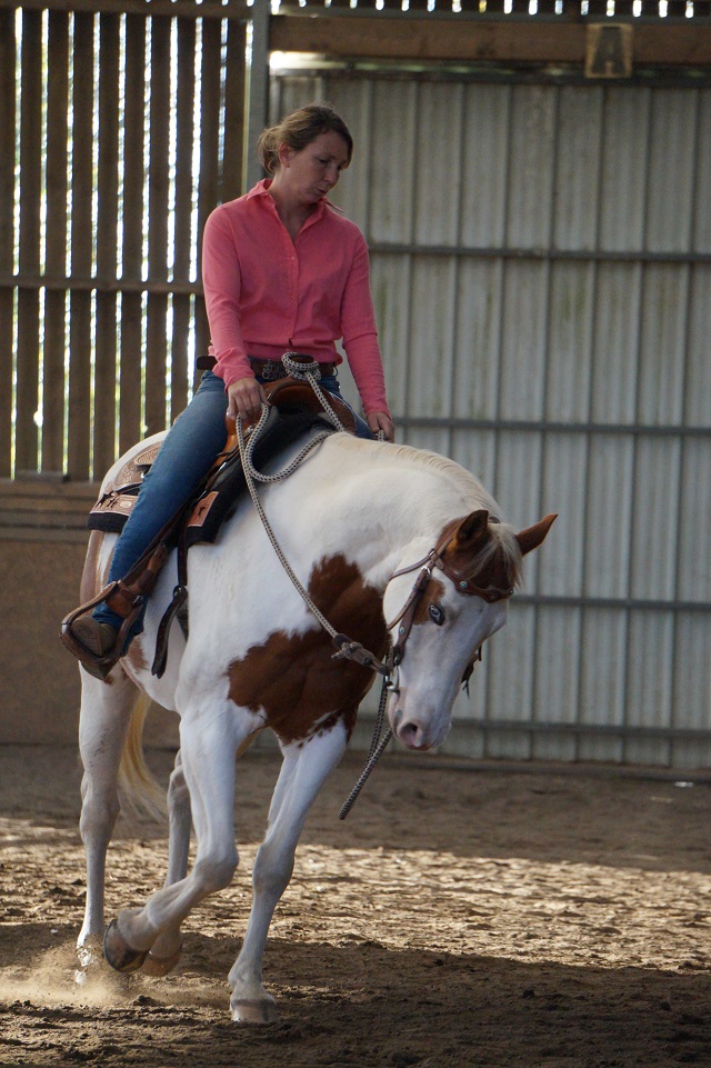 équitation western Easy horse Rennes, Baulon