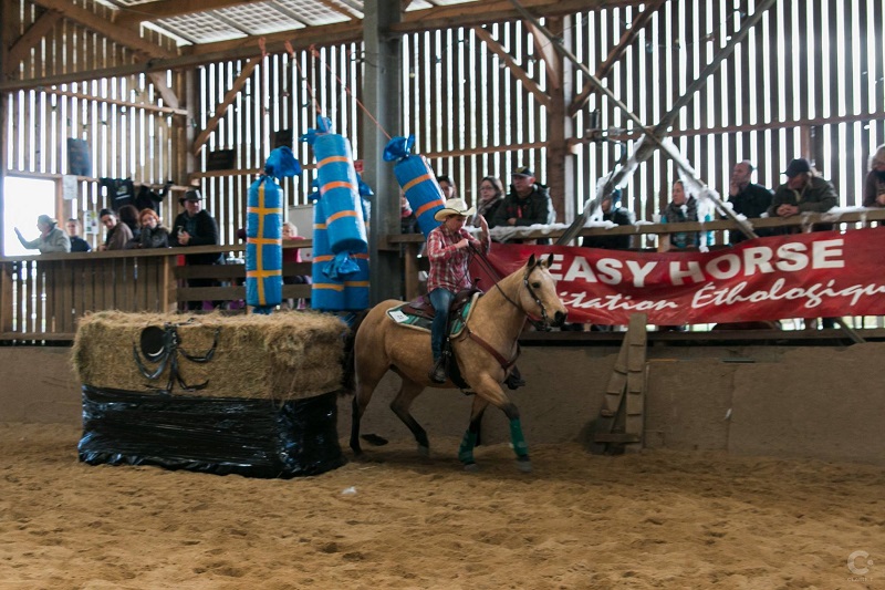 Démonstration de Western race, Easy horse